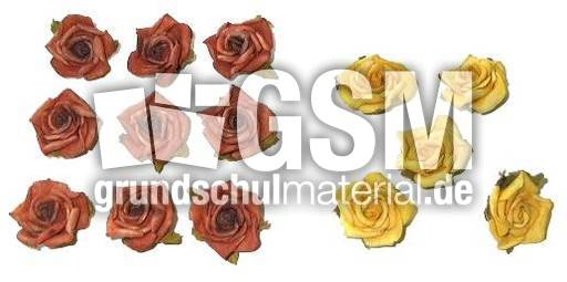 Blumen9+5.jpg